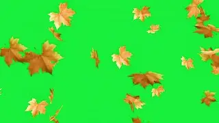 green screen Straps green screen background