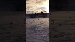 19 апреля 2024 г.