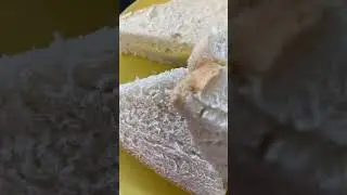 Cheese sandwich