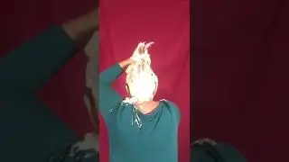 Hair Cream Messy Splosh