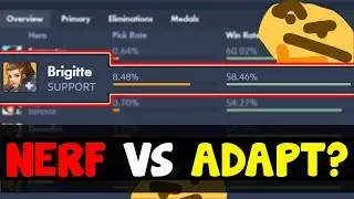A Case FOR and AGAINST Brigitte Players : Does Brigitte Need A Nerf, Or Just Adapt? | Overwatch