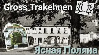 Gross Trakehnen Ясная поляна