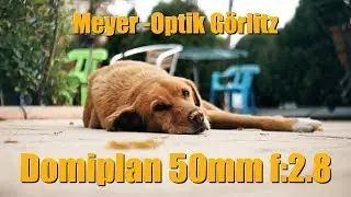 Meyer-Optik Görlitz DOMIPLAN 50mm f/2.8 Test