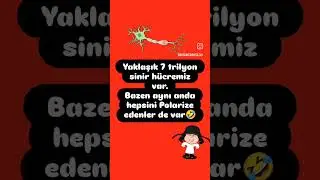buyrun kanala #yks2025 #yks #tyt #tyt2025 #ayt2025 #ayt #fyp #sistem