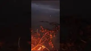 Прекрасная музыка на берегу  Обского моря 🔥🎵🎶🪈