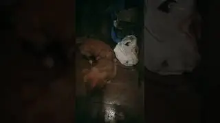 дождик