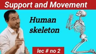 human skeleton system #education #india#biology