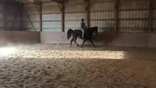 Fox trot
