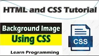 How to Add Background Image in CSS || CSS Image Positioning || Background Image CSS