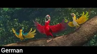 Rio - Real in Rio (German)