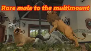 TheHunter: COTW PS5 Diamond and rare highlights #42