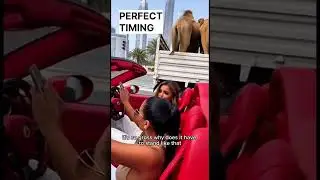 Perfect Timing… or the Worst Luck Ever?