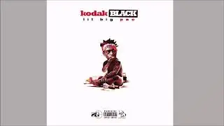 Kodak Black - Too Many Years ft. PnB Rock (432Hz)