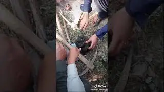 Жесть нашли че то