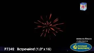 Р7342  Встречайте