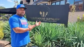 brunch at the loud house