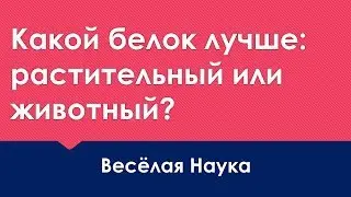 КАКОЙ БЕЛОК ЛУЧШЕ: РАСТИТЕЛЬНЫЙ ИЛИ ЖИВОТНЫЙ?