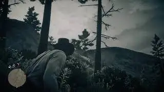 Red Dead Redemption 2 | Bear Attack