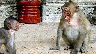 Lol... Nothing to say for Sweetpea , Why Sweetpea afraid & Screaming poor Baby Lori like this?