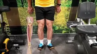 Tibialis anterior i list super serija