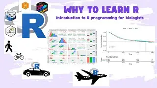 R Programming for Biologists: What R can do : growth rate,Survival Curve, Risk Table Studies & More!