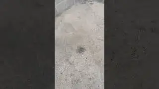 Гранулированный Черный порох  #чёрныйпорох #пиротехника