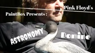 Astronomy Domine (cover) - PaintBox 4