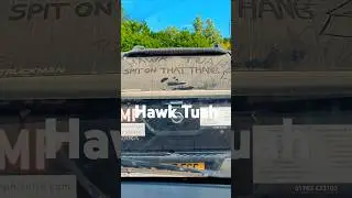 Hawk Tuah #shortsfeed #shortvideo #shorts #short #youtube #hawktuah #viral #subscribe #sub #youtuber