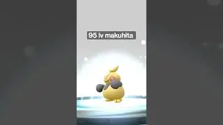 evolving 95 IV makuhita #shorts #pokemongo #subscribe