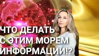 Что делать с этим морем информации⁉️