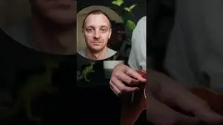 что играть на укулеле в начале пути?