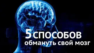5 способов обмануть свой мозг