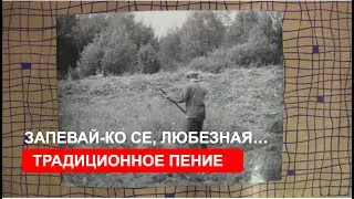 Традиционная лирическая песня «Запевай-ко се, моя любезна…»