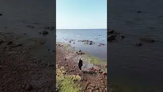 Форт Красная Горка 