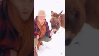 Banned Super Bowl commercial