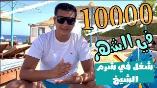 #شرم_الشيخ 10000جنية في الشهر #شغل في شركة سياحة في #شرم_الشيخ