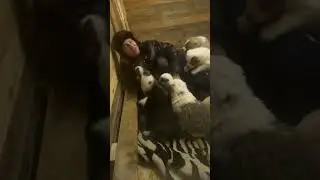 ПОЙМАЛ ЖЕНУ , А ОНА ВООБЩЕ УЛЕГЛАСЬ
