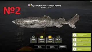 Поймал ОГРОМНУЮ АКУЛУ №2🍀Гренландская полярная акула🍀Русская рыбалка 4🍀РР4🍀Акула в клине🍀