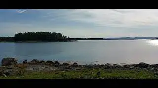 Берег Белого моря