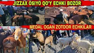JIZZAX OSIYO QO'Y BOZORI KAMOLIDDIN.UZ CHORVO BOZOR
