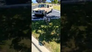 700 miles per tank