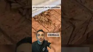Si ves esto en tu ventana, cierrala. 