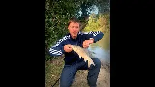 Кубань! река Казачий Ерик. Рыбалка