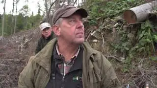 Trofeinaya Ohota Blagorodnyi Olen 2 seriya 31 00 00