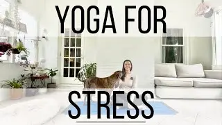 Relax & Let Go of Worry I Trauma-Informed Yoga I Somatic Inquiry
