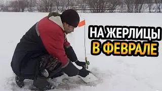 НЕРВНАЯ РЫБАЛКА НА ЖЕРЛИЦЫ В ФЕВРАЛЕ!!! СРАБОТКА ЗА СРАБОТКОЙ!!! ЩУКА В АКТИВНОМ ПОИСКЕ.