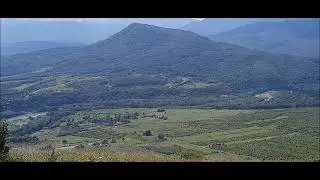 Виды гор леса в районе ст  Даховская