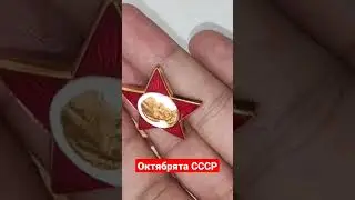 октябрята СССР значок #toy #игрушкиссср #ретроигрушкиссср #игрушки #ретро