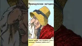 Где на картинке питомец мадам?