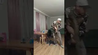 11 ноября 2023 г.